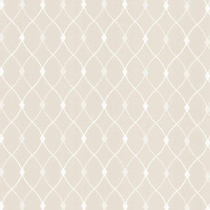 Slipper Trellis Ivory by Kasmir Fabric