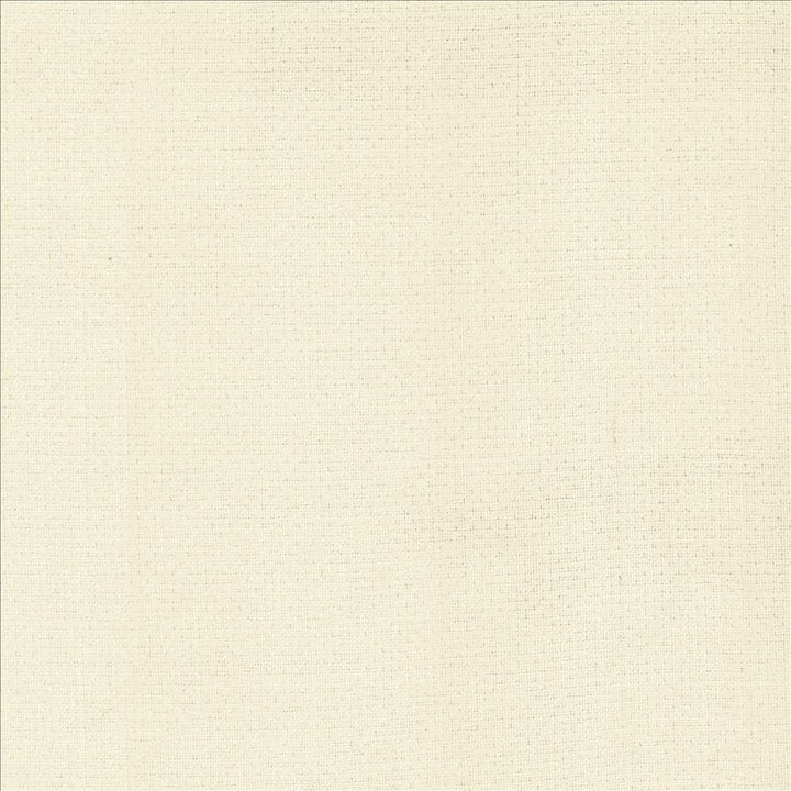 Snug Snow by Kasmir Fabric 5159 100% Polyester
 CHINA 50,000 Wyzenbeek Double Rubs Horizontal: N/A and Vertical: N/A 54 - Fabric Carolina -
