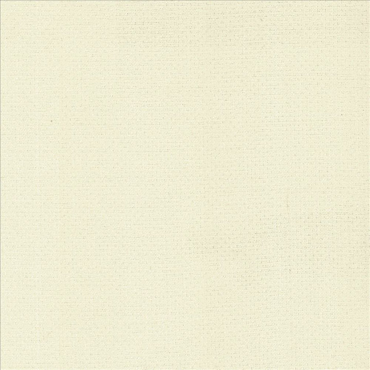 Snug Snow by Kasmir Fabric 5159 100% Polyester CHINA 50,000 Wyzenbeek Double Rubs Horizontal: 0 Inches and Vertical: 0 Inches 54 - Fabric Carolina -