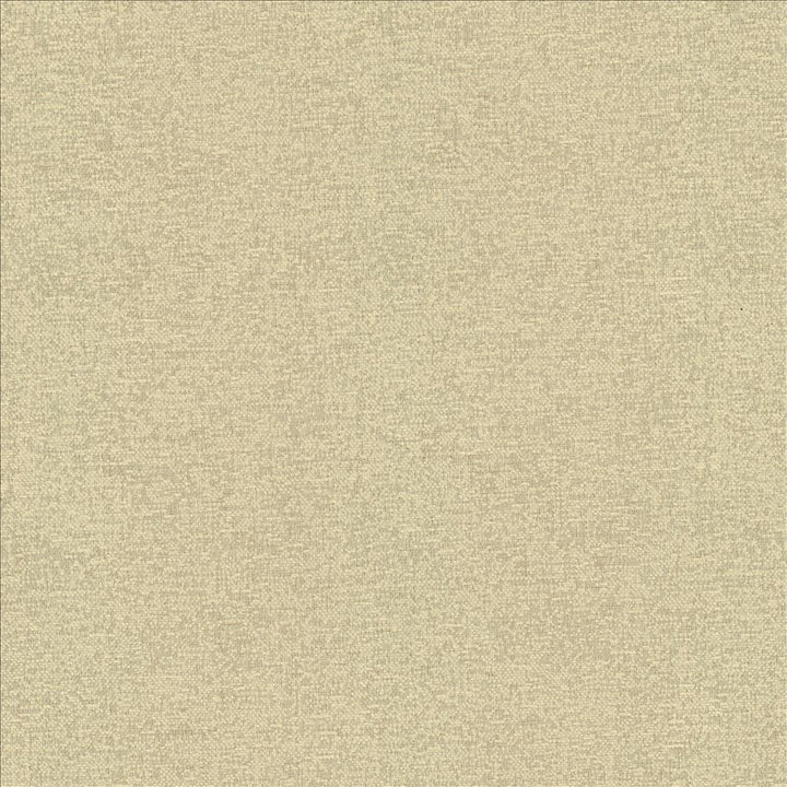 Sojourner Flax by Kasmir Fabric 5171 100% Polyester
 CHINA </p><p>Repeat: Horizontal: N/A and Vertical: N/A 54 - Fabric Carolina -