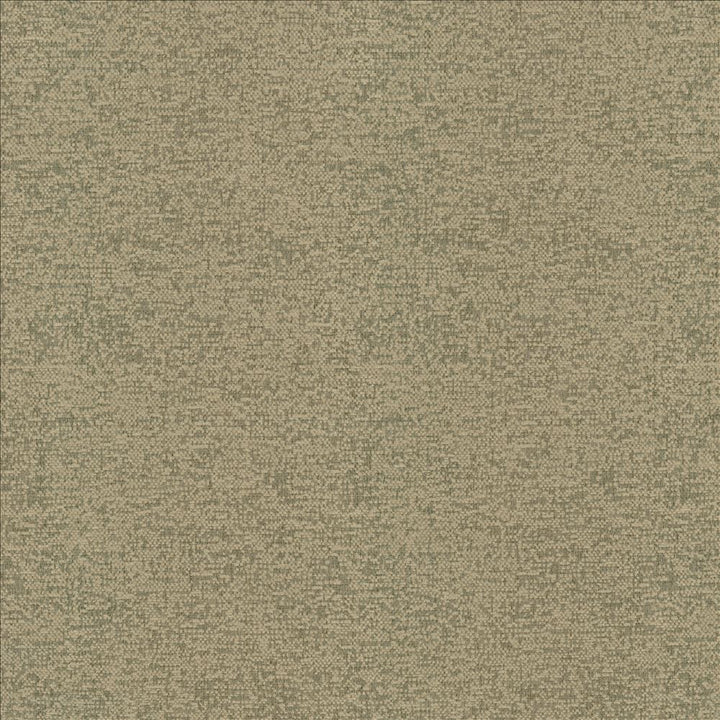 Sojourner Hemp by Kasmir Fabric 5171 100% Polyester
 CHINA 50,000 Wyzenbeek Double Rubs Horizontal: N/A and Vertical: N/A 54 - Fabric Carolina -