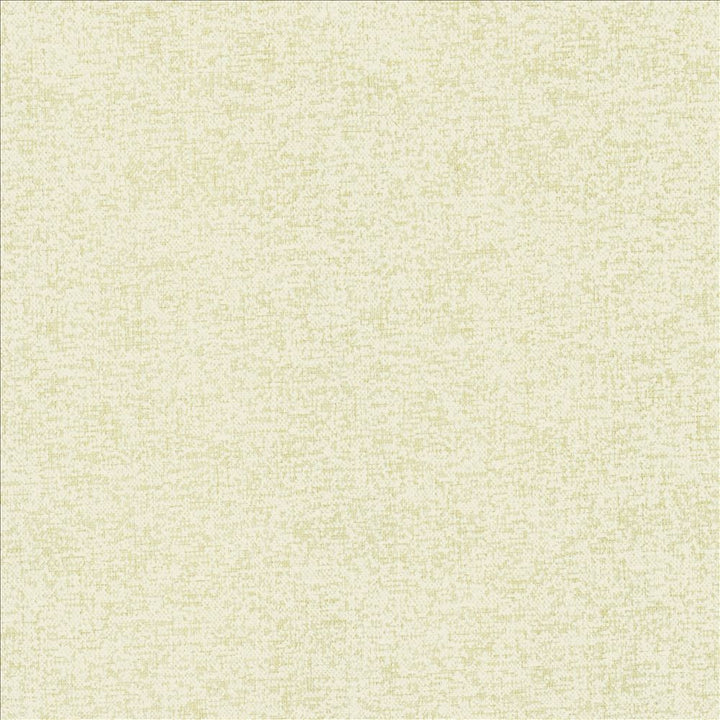 Sojourner Snow by Kasmir Fabric 5171 100% Polyester
 CHINA 50,000 Wyzenbeek Double Rubs </p><p>Repeat: Horizontal: N/A and Vertical: N/A 54 - Fabric Carolina -