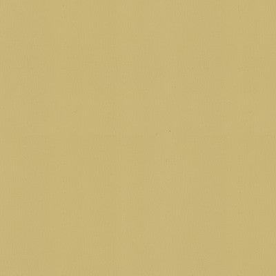 Sol Canvas by Kravet Contract Fabric