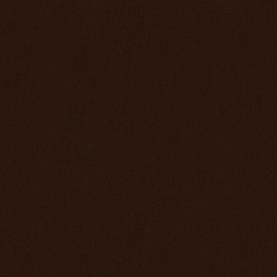 Sol Truffle by Kravet Contract Fabric