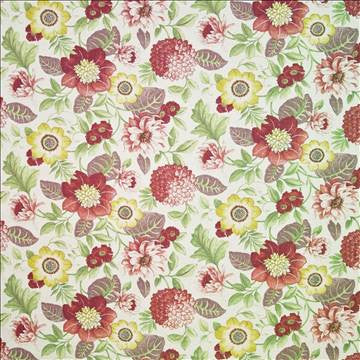 Sommerset Hollow Pomegranate by Kasmir Fabric 1402 100% Cotton ISRAEL 15,000 Wyzenbeek Double Rubs H: 54 inches, V: 18 inches 54 - 55 - Fabric Carolina - Kasmir