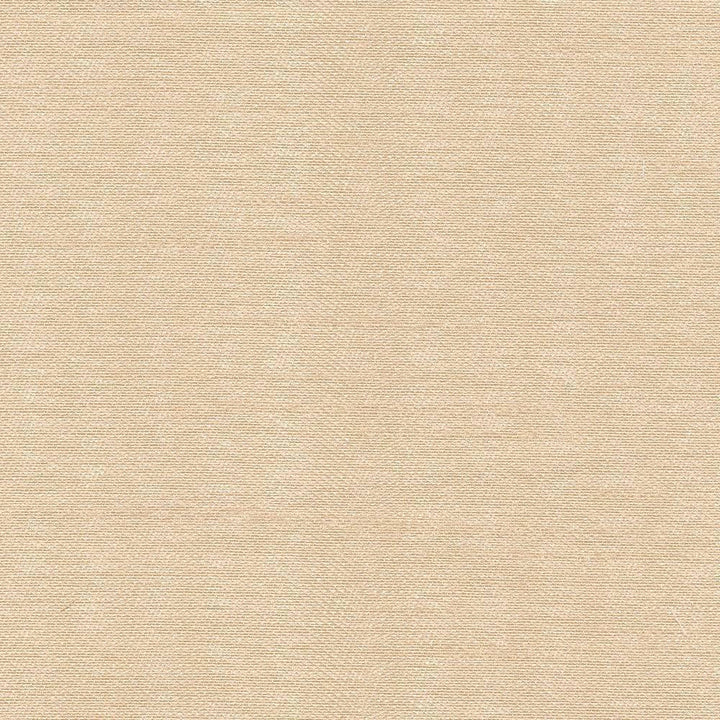 Sonata Barley by Kasmir Fabric 5010 TURKEY 9,000 Wyzenbeek Double Rubs H: N/A, V:N/A 59 - 60 - Fabric Carolina - Kasmir