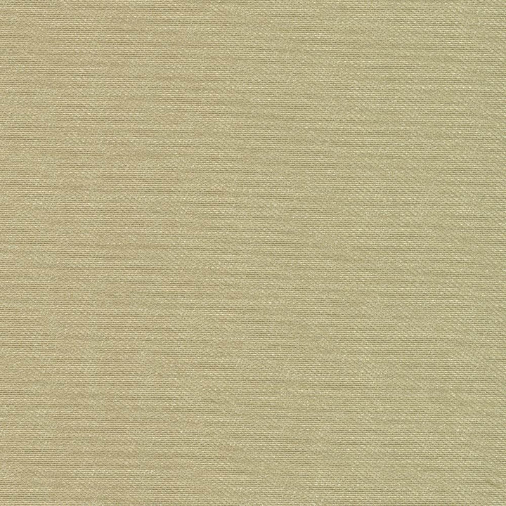 Sonata Fern by Kasmir Fabric 5010 100% Polyester
 TURKEY </p><p>Repeat: Horizontal: N/A and Vertical: N/A 59 - 60 - Fabric Carolina -