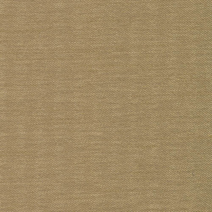 Sonata Moss by Kasmir Fabric 5010 100% Polyester
 TURKEY 9,000 Wyzenbeek Double Rubs Horizontal: N/A and Vertical: N/A 59 - Fabric Carolina -