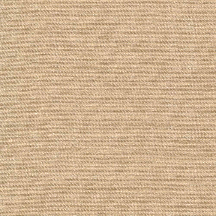 Sonata Nude by Kasmir Fabric 5010 TURKEY 9,000 Wyzenbeek Double Rubs H: N/A, V:N/A 59 - 60 - Fabric Carolina - Kasmir