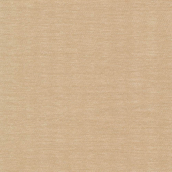 Sonata Nude by Kasmir Fabric 5010 100% Polyester
 TURKEY 9,000 Wyzenbeek Double Rubs Horizontal: N/A and Vertical: N/A 59 - Fabric Carolina -