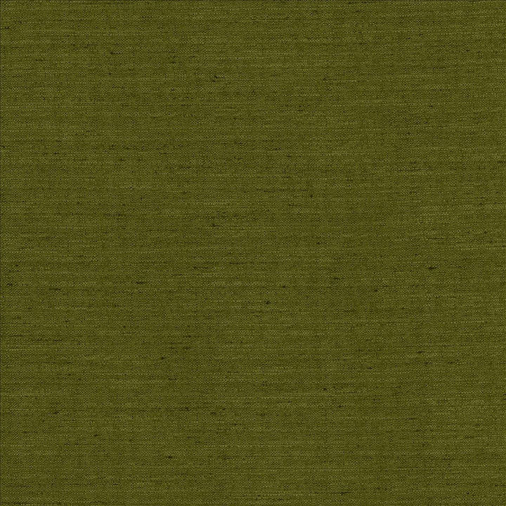 Sotto Avocado by Kasmir Fabric 5126 100% Polyester
 INDIA </p><p>Repeat: Horizontal: N/A and Vertical: N/A 54 - 55 - Fabric Carolina -