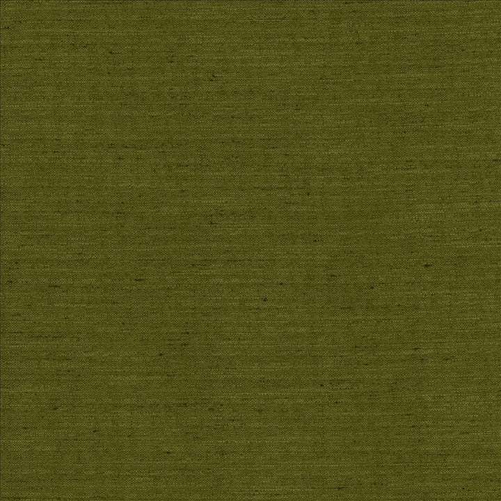 Sotto Avocado  by Kasmir Fabric See sample 100% Polyester
 INDIA 30,000 Wyzenbeek Double Rubs </p><p>Repeat: Horizontal: N/A and Vertical: N/A 54  - Fabric Carolina -