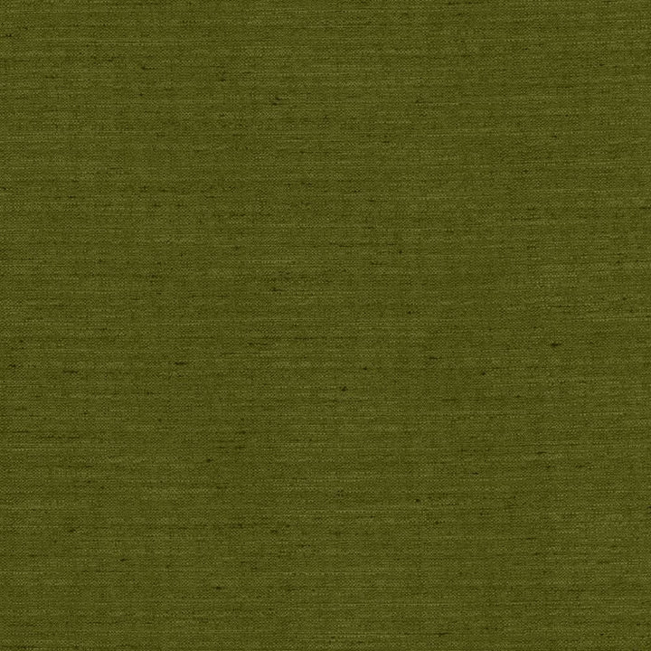 Sotto Avocado by Kasmir Fabric 5126 100% Polyester
 INDIA </p><p>Repeat: Horizontal: N/A and Vertical: N/A 54 - 55 - Fabric Carolina -