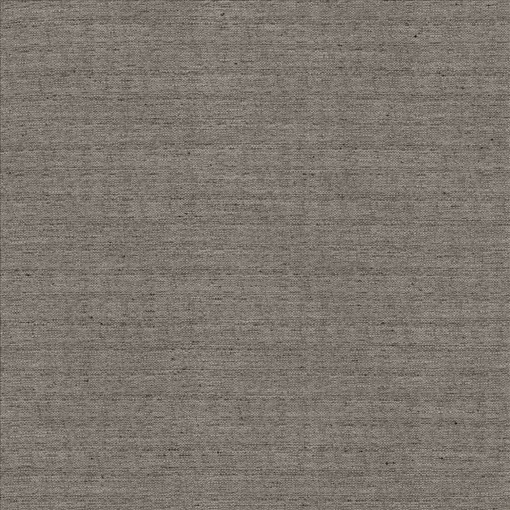 Sotto Black Pearl by Kasmir Fabric 5126 100% Polyester
 INDIA </p><p>Repeat: Horizontal: N/A and Vertical: N/A 54 - 55 - Fabric Carolina -