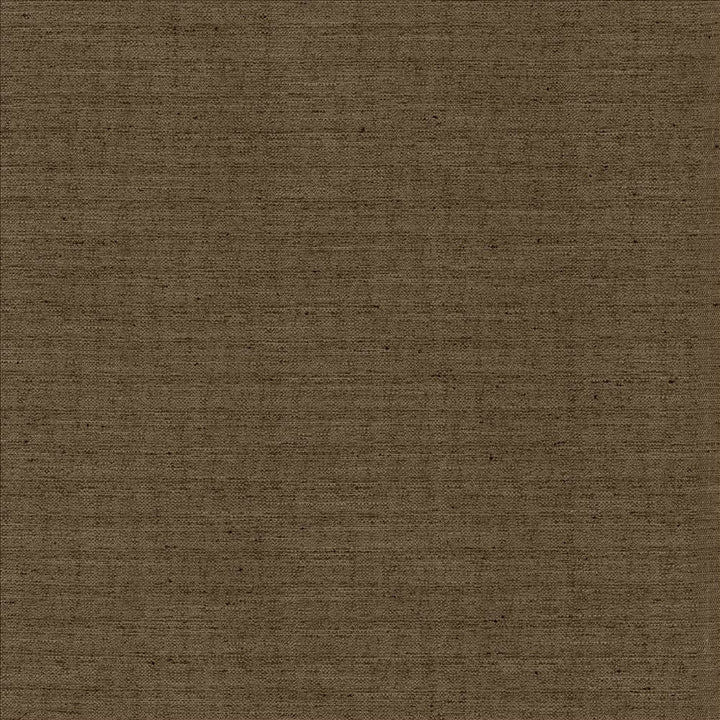 Sotto Cappuccino by Kasmir Fabric 5126 100% Polyester
 INDIA 30,000 Wyzenbeek Double Rubs </p><p>Repeat: Horizontal: N/A and Vertical: N/A 54 - Fabric Carolina -