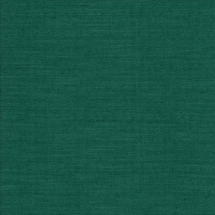 Sotto Emerald by Kasmir Fabric 5126 100% Polyester
 INDIA </p><p>Repeat: Horizontal: N/A and Vertical: N/A 54 - 55 - Fabric Carolina -