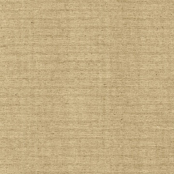 Sotto Flax by Kasmir Fabric 5126 100% Polyester
 INDIA </p><p>Repeat: Horizontal: N/A and Vertical: N/A 54 - 55 - Fabric Carolina -