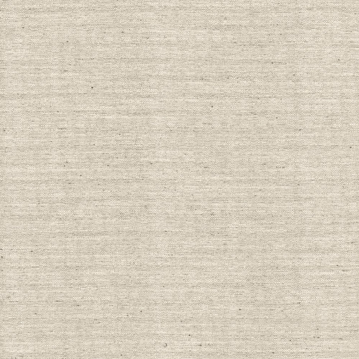Sotto Silver by Kasmir Fabric 5126 100% Polyester
 INDIA </p><p>Repeat: Horizontal: N/A and Vertical: N/A 54 - 55 - Fabric Carolina -