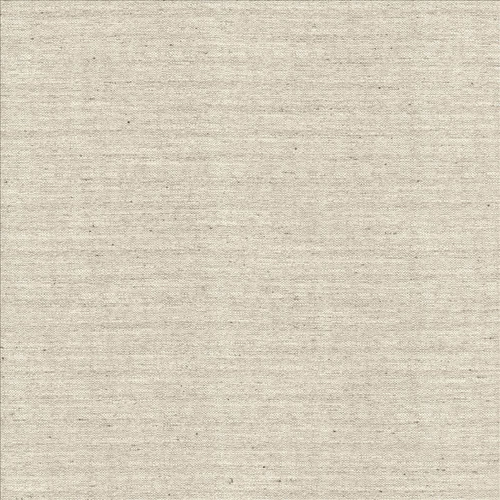Sotto Silver by Kasmir Fabric 5126 100% Polyester
 INDIA </p><p>Repeat: Horizontal: N/A and Vertical: N/A 54 - 55 - Fabric Carolina -