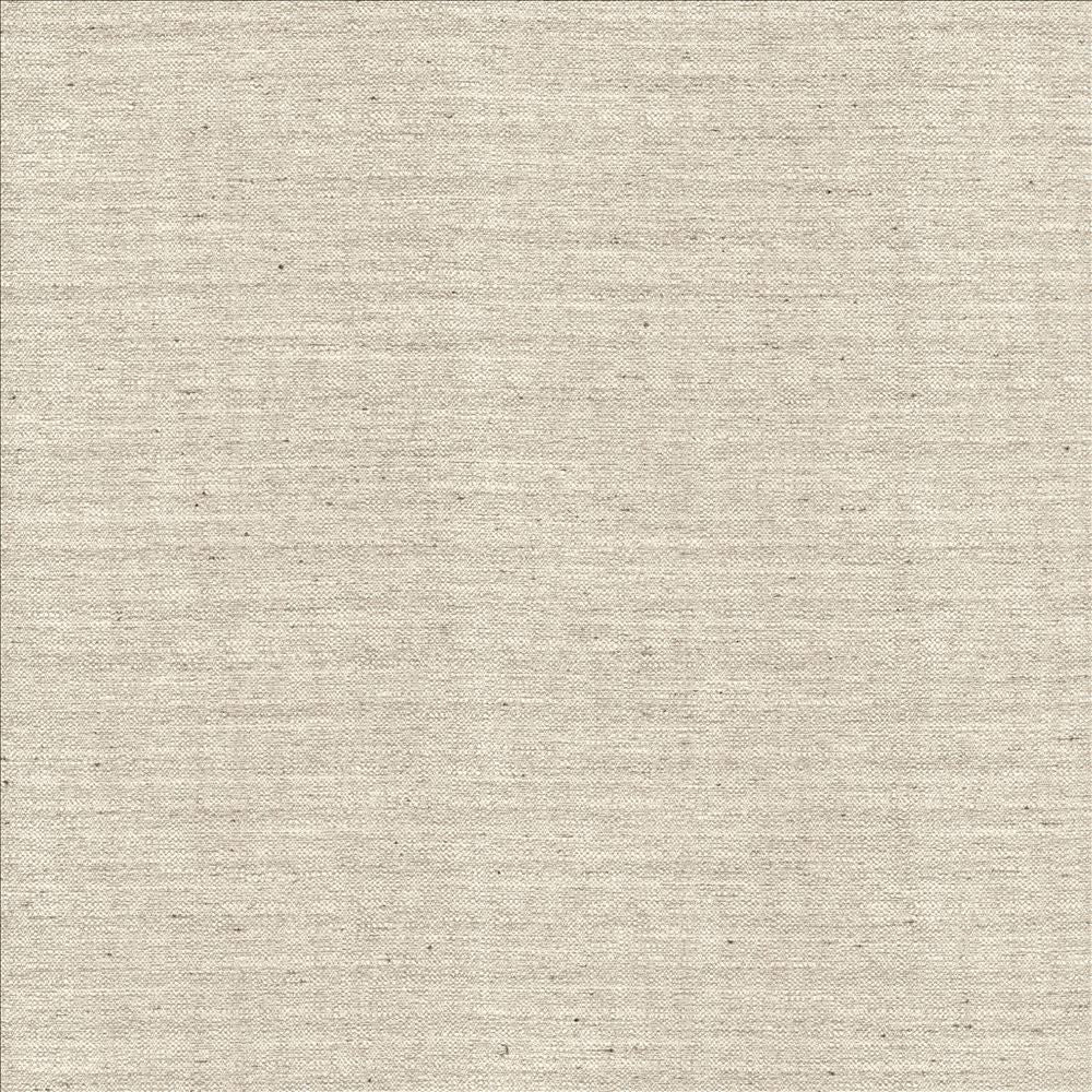 Sotto Silver by Kasmir Fabric 5126 100% Polyester
 INDIA 30,000 Wyzenbeek Double Rubs Horizontal: N/A and Vertical: N/A 54 - Fabric Carolina -