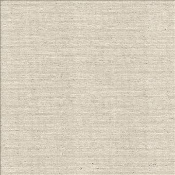 Sotto Silver by Kasmir Fabric 5126 100% Polyester INDIA 30,000 Wyzenbeek Double Rubs H: N/A, V: N/A 54 - 55 - Fabric Carolina - Kasmir