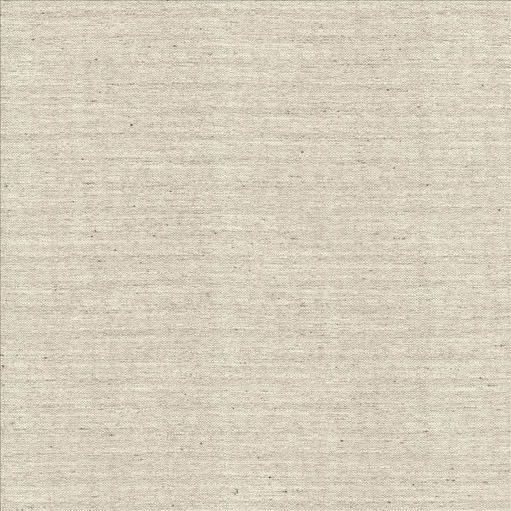 Sotto Silver by Kasmir Fabric 5126 100% Polyester
 INDIA </p><p>Repeat: Horizontal: N/A and Vertical: N/A 54 - 55 - Fabric Carolina -
