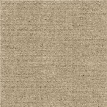 Sotto Twig by Kasmir Fabric 5126 100% Polyester INDIA 30,000 Wyzenbeek Double Rubs H: N/A, V: N/A 54 - 55 - Fabric Carolina - Kasmir