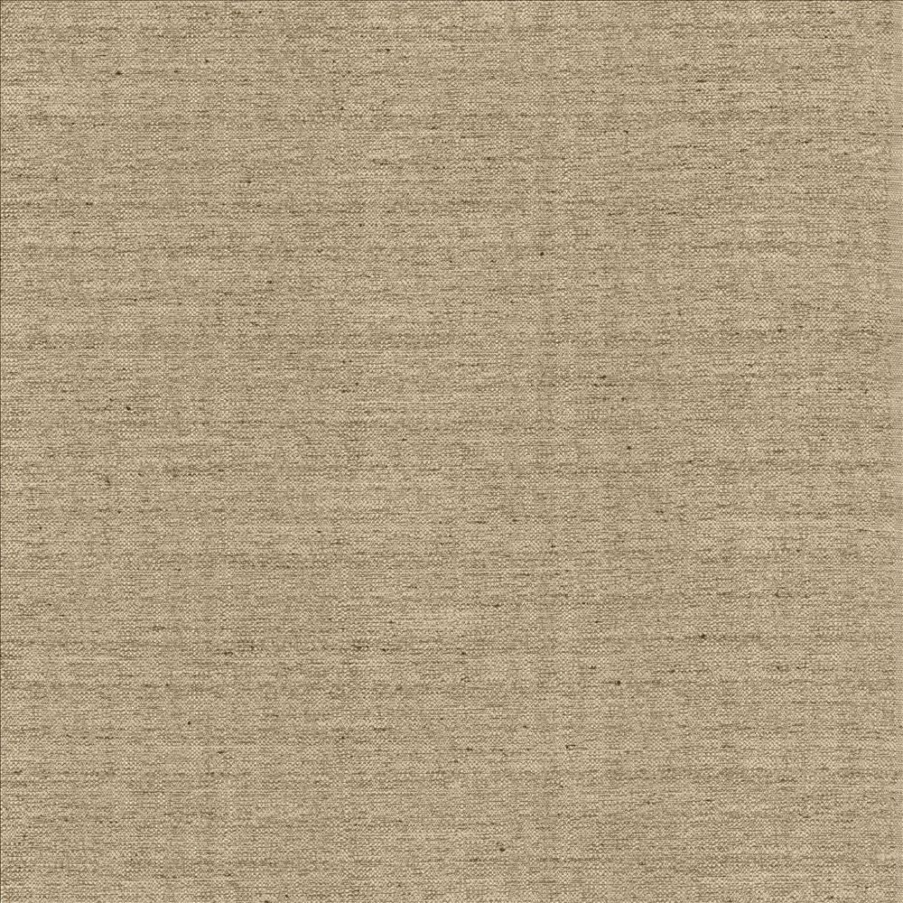 Sotto Twig by Kasmir Fabric 5126 100% Polyester
 INDIA </p><p>Repeat: Horizontal: N/A and Vertical: N/A 54 - 55 - Fabric Carolina -