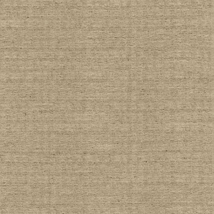 Sotto Twig by Kasmir Fabric 5126 100% Polyester
 INDIA </p><p>Repeat: Horizontal: N/A and Vertical: N/A 54 - 55 - Fabric Carolina -