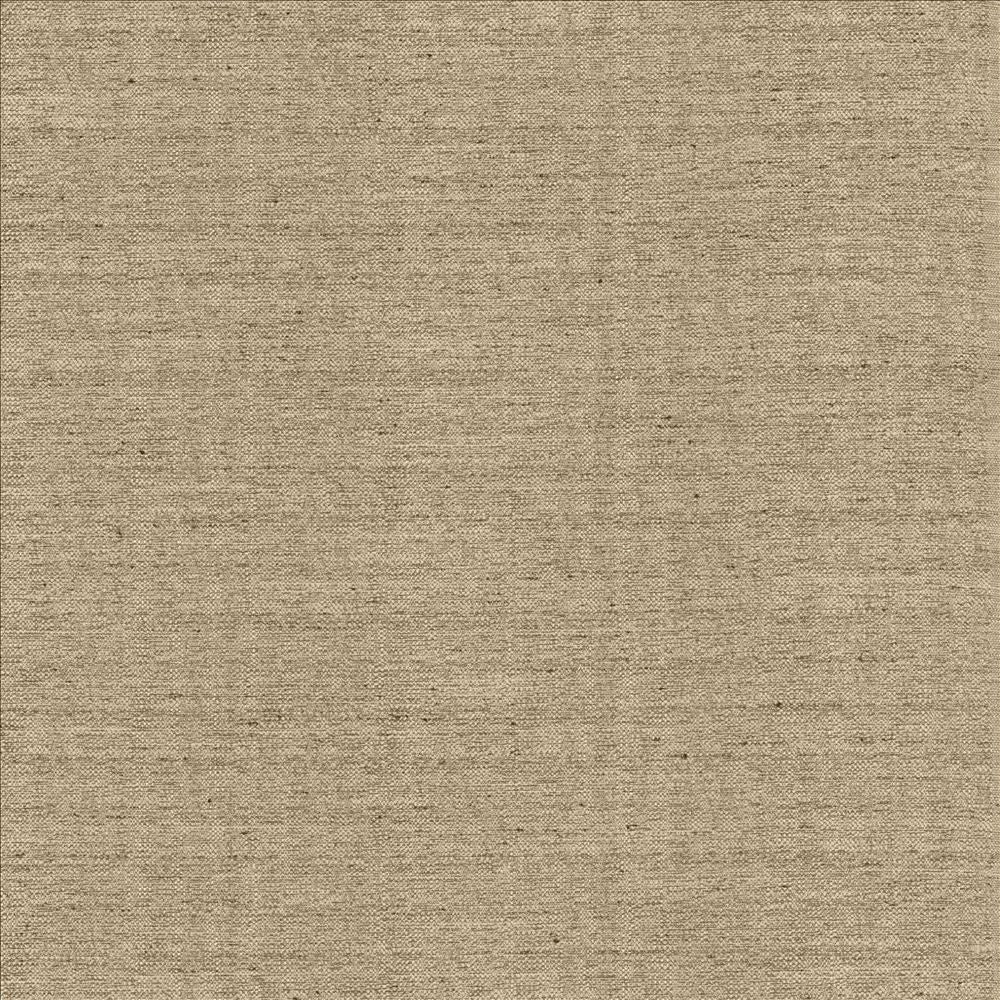 Sotto Twig by Kasmir Fabric 5126 100% Polyester
 INDIA 30,000 Wyzenbeek Double Rubs Horizontal: N/A and Vertical: N/A 54 - Fabric Carolina -