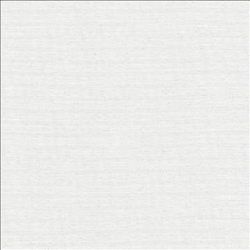 Sotto White by Kasmir Fabric 5126 100% Polyester INDIA 30,000 Wyzenbeek Double Rubs H: N/A, V: N/A 54 - 55 - Fabric Carolina - Kasmir
