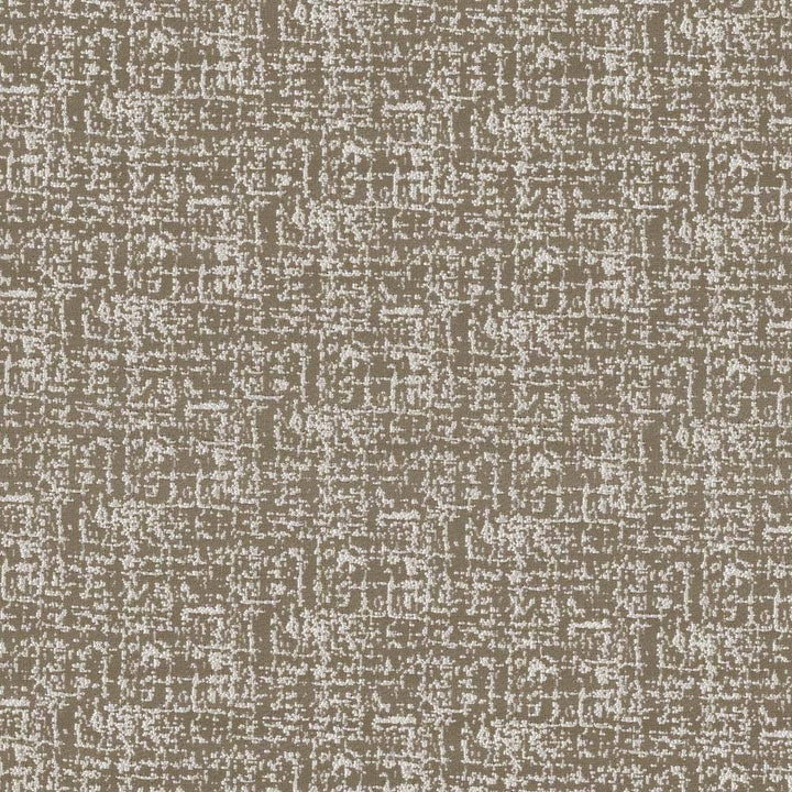 Spackle Ash by Kasmir Fabric 5110 INDIA 20,000 Wyzenbeek Double Rubs H: N/A, V:N/A 54 - 55 - Fabric Carolina - Kasmir