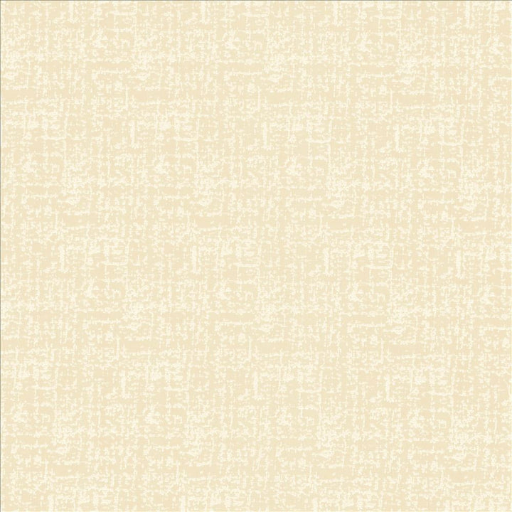 Spackle Sand by Kasmir Fabric 5110 100% Polyester INDIA 20,000 Wyzenbeek Double Rubs Horizontal: 0 Inches and Vertical: 0 Inches 54 - 55 - Fabric Carolina -