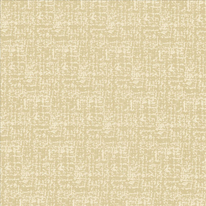Spackle Sand Dollar by Kasmir Fabric 5110 100% Polyester INDIA 20,000 Wyzenbeek Double Rubs Horizontal: 0 Inches and Vertical: 0 Inches 54 - 55 - Fabric Carolina -