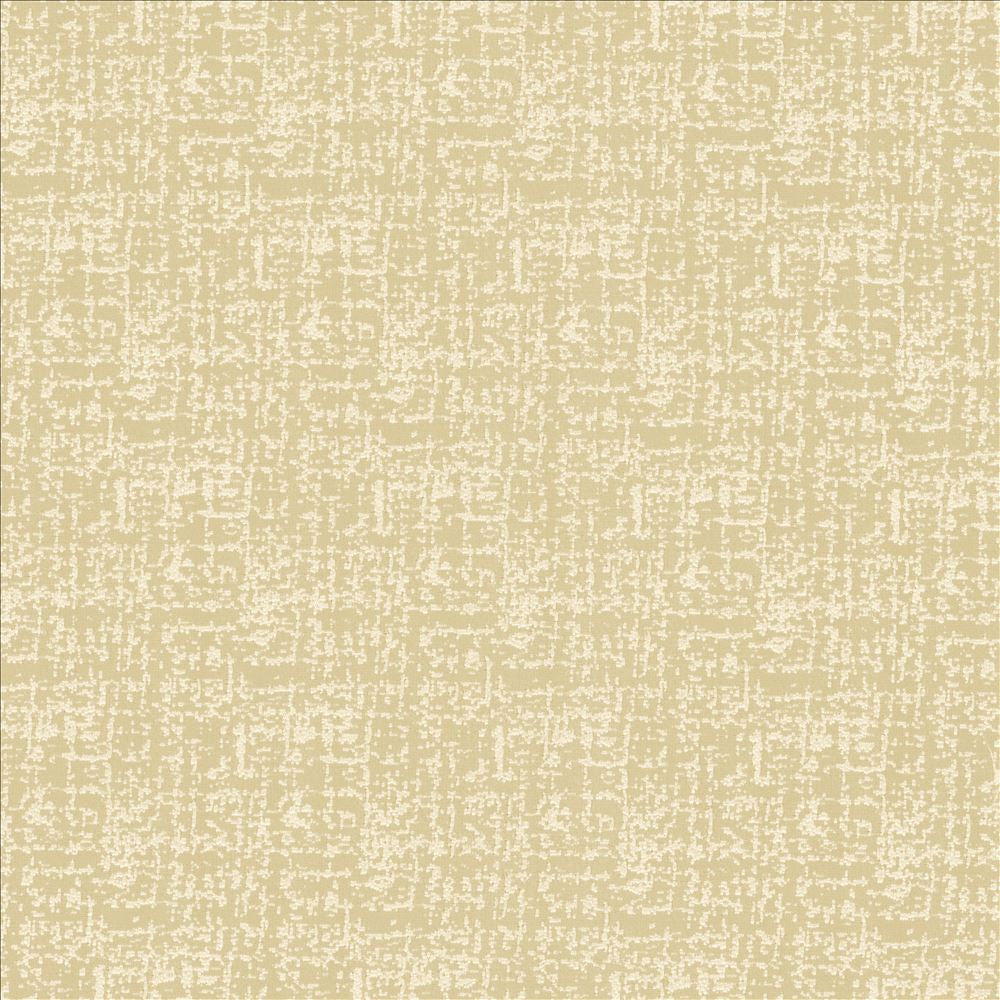 Spackle Sand Dollar by Kasmir Fabric 5110 100% Polyester
 INDIA 20,000 Wyzenbeek Double Rubs Horizontal: N/A and Vertical: N/A 54 - Fabric Carolina -