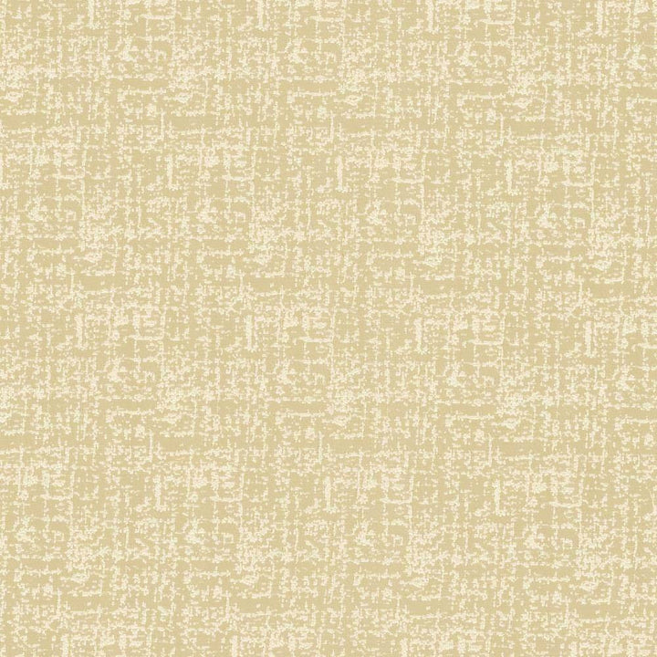 Spackle Sand Dollar by Kasmir Fabric 5110 INDIA 20,000 Wyzenbeek Double Rubs H: N/A, V:N/A 54 - 55 - Fabric Carolina - Kasmir