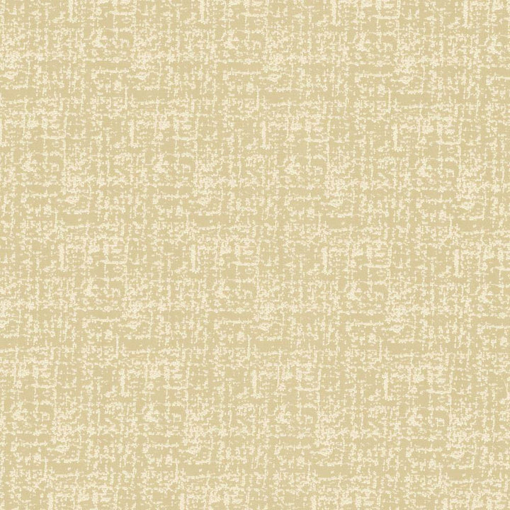 Spackle Sand Dollar by Kasmir Fabric 5110 100% Polyester
 INDIA </p><p>Repeat: Horizontal: N/A and Vertical: N/A 54 - 55 - Fabric Carolina -