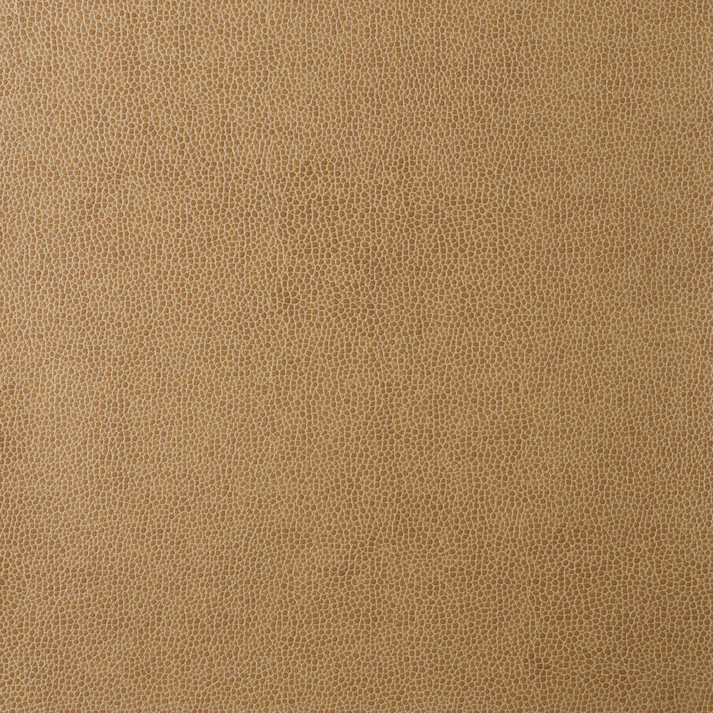 Kravet Design Sparta-16 by Kravet Design Fabric