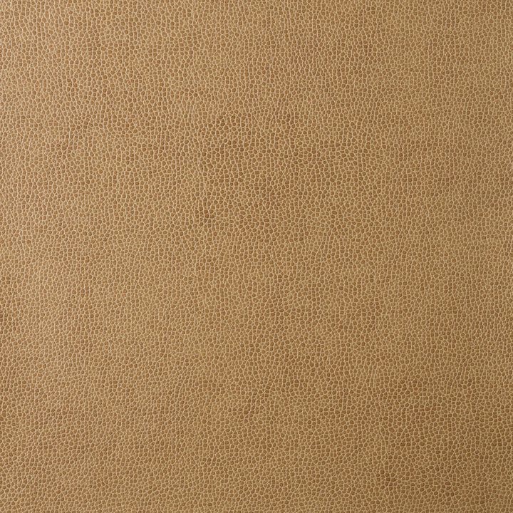 Kravet Design Sparta-16 by Kravet Design Fabric