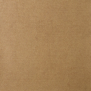 Kravet Design Sparta-16 by Kravet Design Fabric