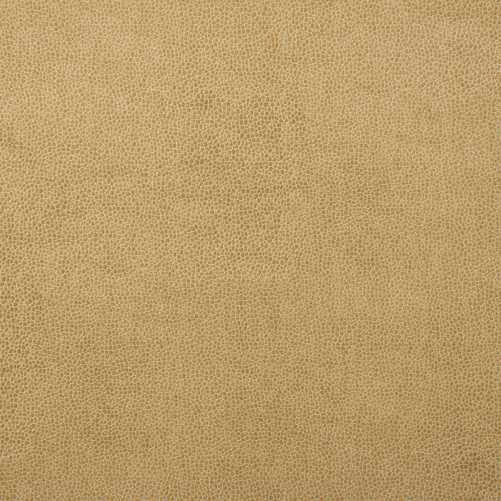 Kravet Design Sparta-1 by Kravet Design Fabric
