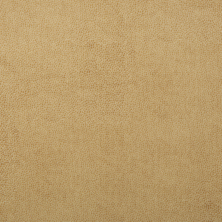 Kravet Design Sparta-1 by Kravet Design Fabric