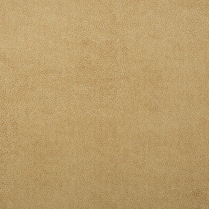 Kravet Design Sparta-1 by Kravet Design Fabric