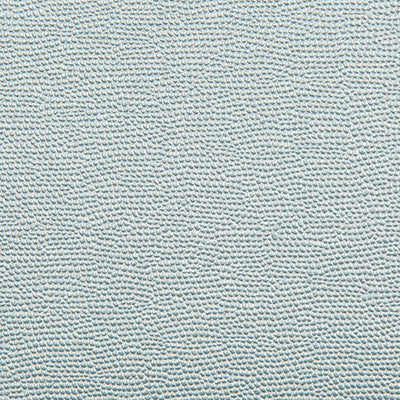 Spartan Iceberg by Kravet Contract Fabric