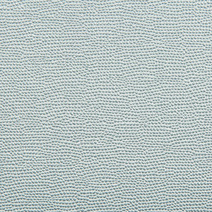 Spartan Iceberg by Kravet Contract Fabric