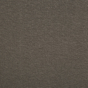 Spartan Onyx by Kravet Contract Fabric