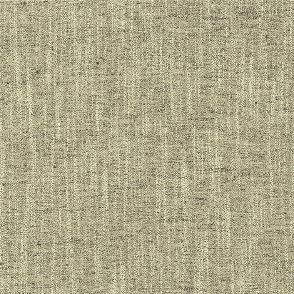 Spartan Granite by Kasmir Fabric 5120 100% Polyester
 INDIA 30,000 Wyzenbeek Double Rubs Horizontal: N/A and Vertical: N/A 54 - Fabric Carolina -