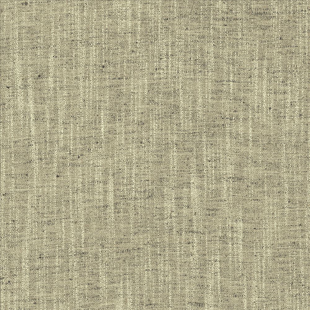 Spartan Granite by Kasmir Fabric 5120 100% Polyester
 INDIA </p><p>Repeat: Horizontal: N/A and Vertical: N/A 54 - Fabric Carolina -