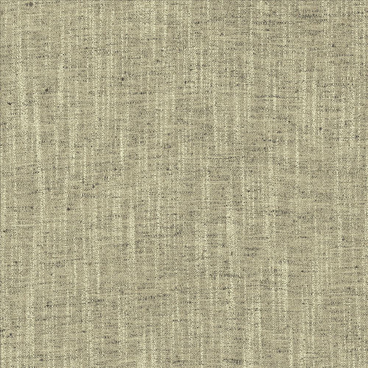 Spartan Granite by Kasmir Fabric 5120 100% Polyester
 INDIA </p><p>Repeat: Horizontal: N/A and Vertical: N/A 54 - Fabric Carolina -