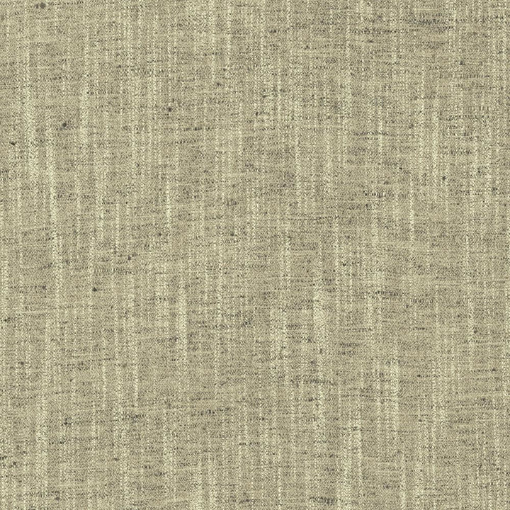 Spartan Granite by Kasmir Fabric 5120 100% Polyester
 INDIA </p><p>Repeat: Horizontal: N/A and Vertical: N/A 53 - Fabric Carolina -